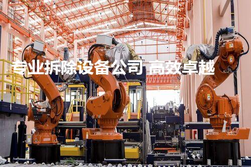 专业拆除设备公司 高效卓越拆解专家